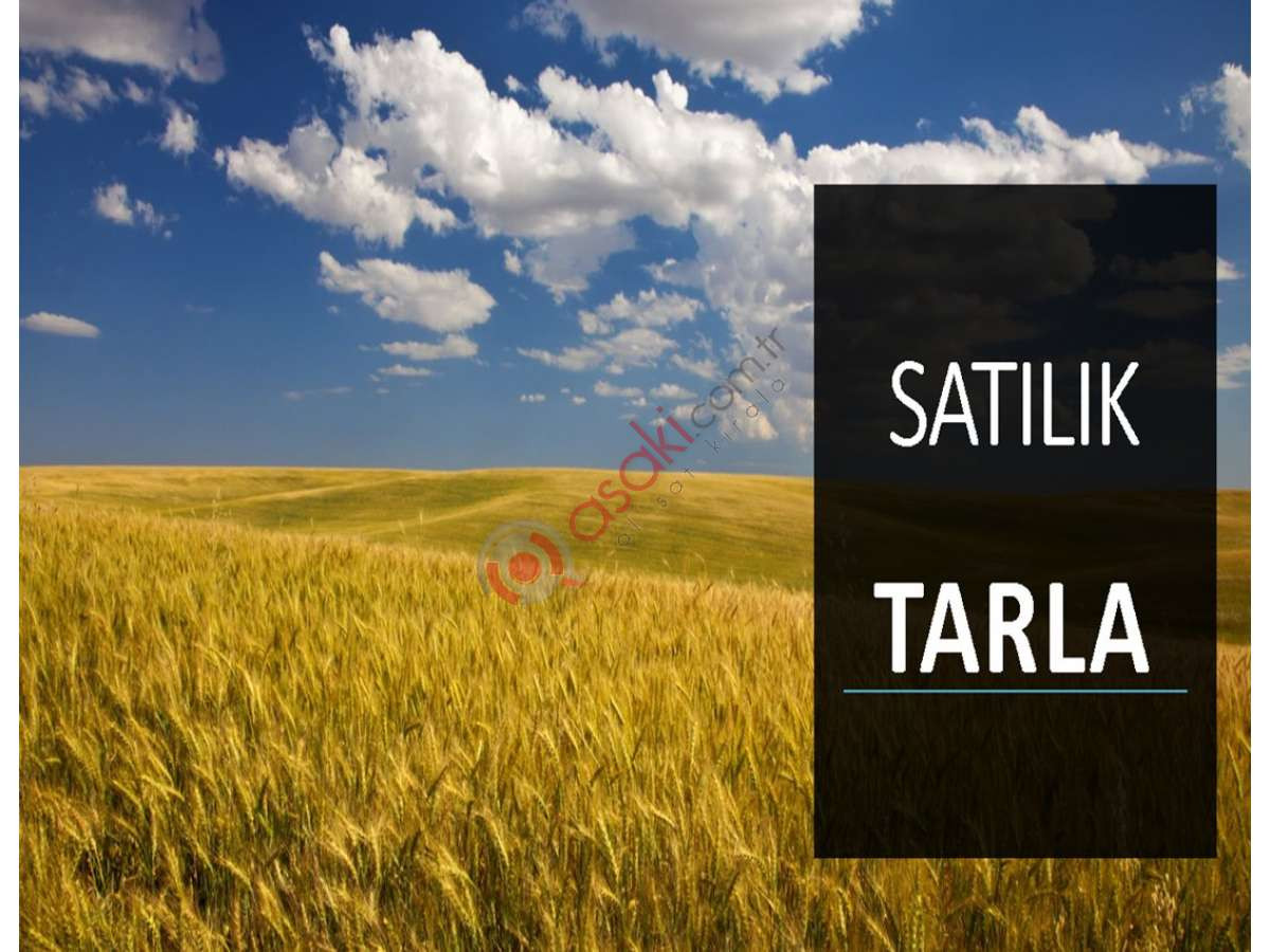 Silivri Çeltik\'te Etrafı Çevrili Deniz Manzaralı Tarla