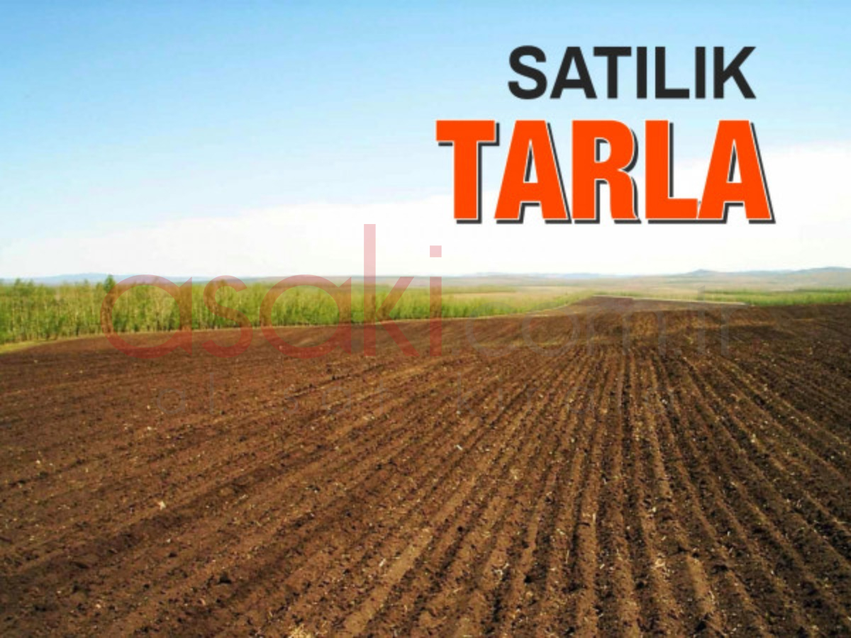 Silivri Akörende Satılık Tarla