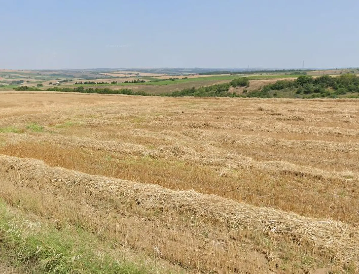 Silivri Değirmenköyde Satılık Tarla