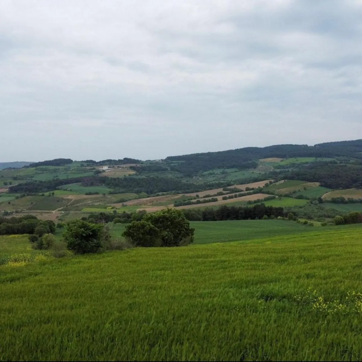 Çanakkale Merkezde Satılık Arazi