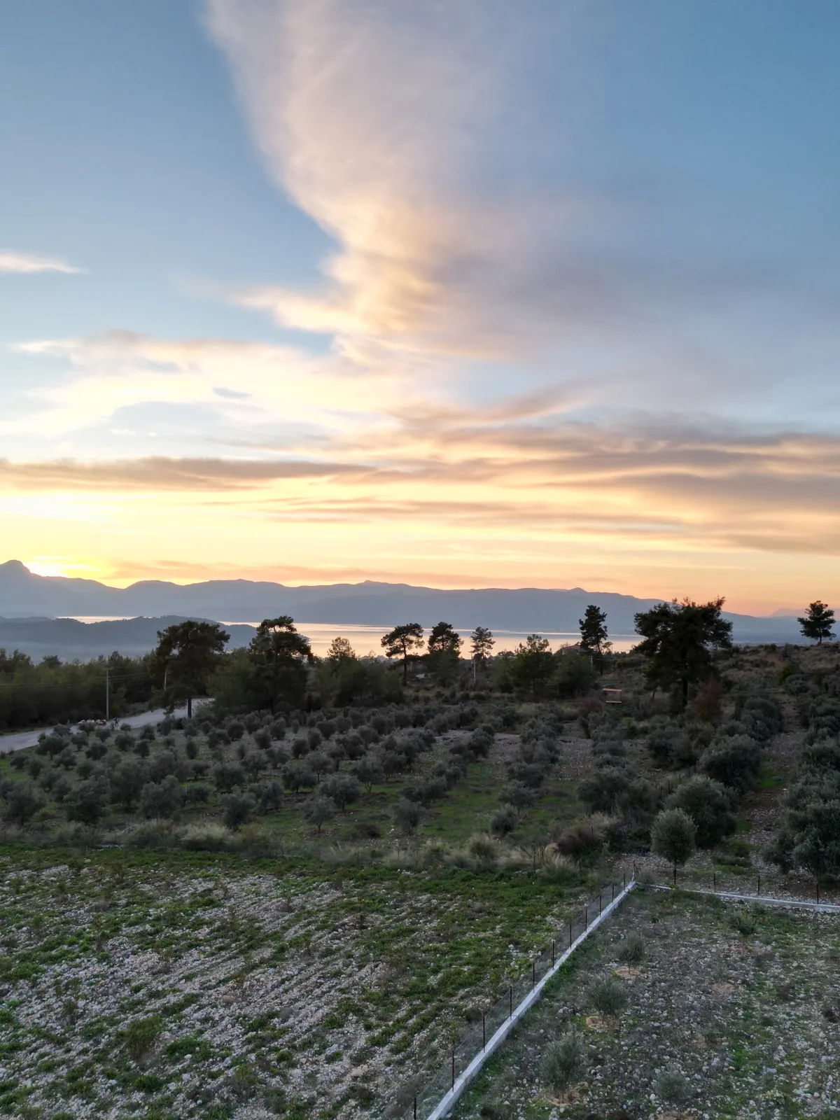 KÖYCEĞİZ ZEYTİN ALANI RIZAİ TAKSİMLİ 2850 M2 MUHTEŞEM GÖL MANZARA