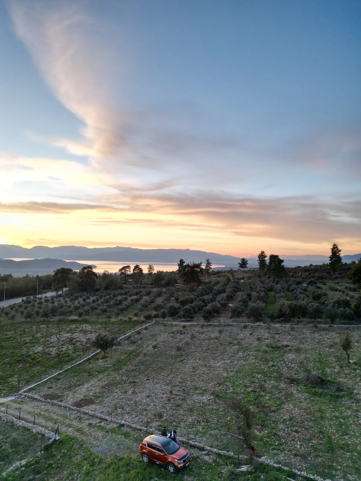 KÖYCEĞİZ ZEYTİN ALANI RIZAİ TAKSİMLİ 2850 M2 MUHTEŞEM GÖL MANZARA