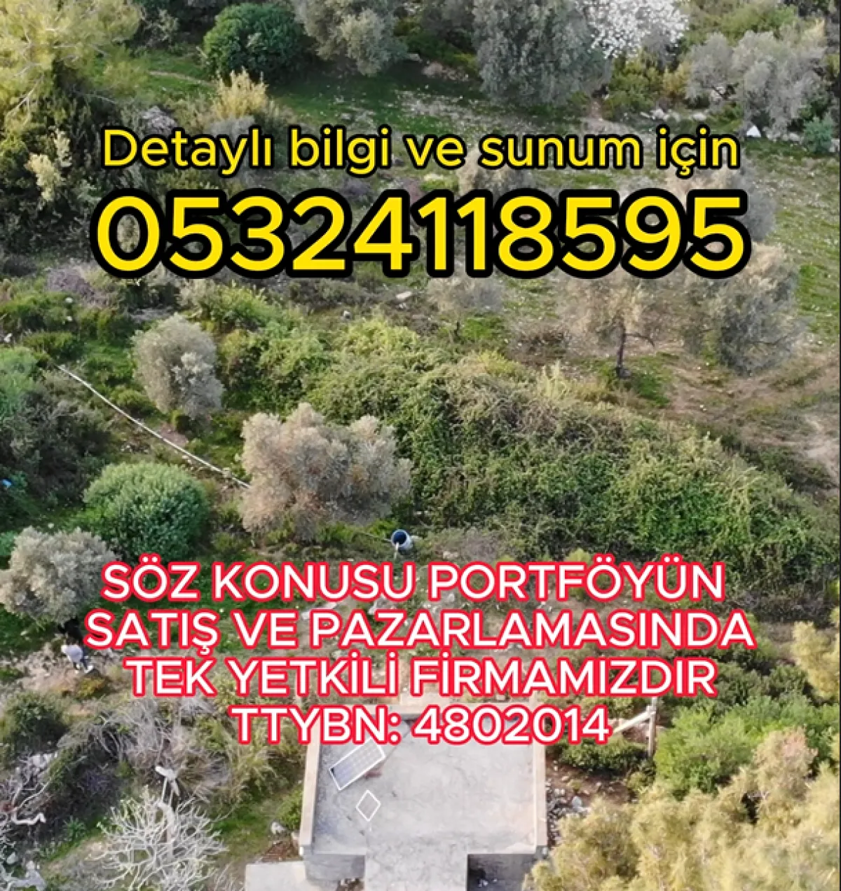 Muğla Milas Kultak da 451 m2 Satılık Tarla