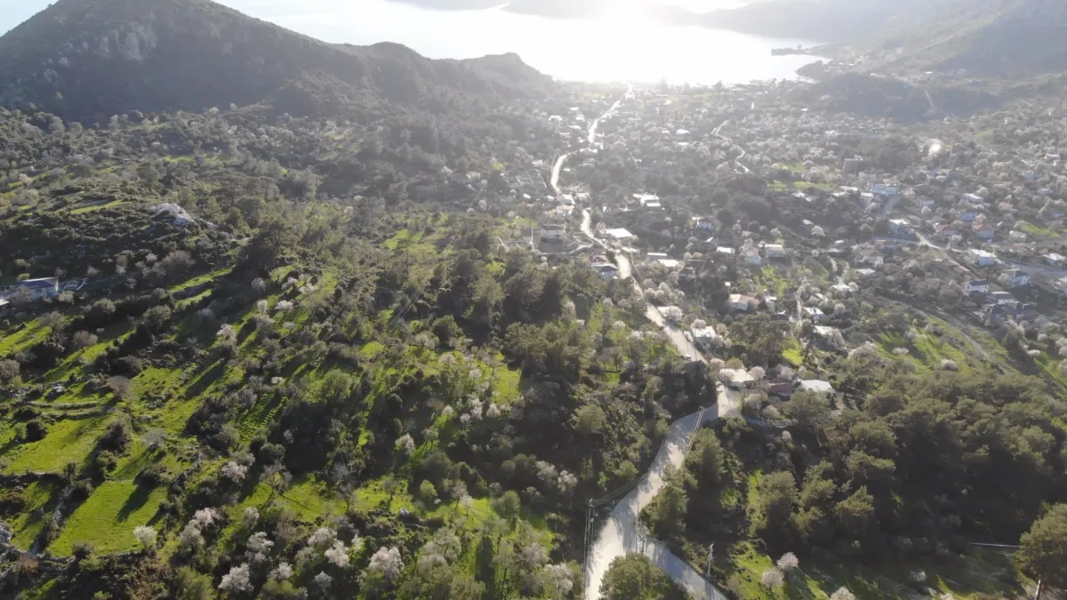 Muğla Marmaris Söğüt Köyünde Satılık Tarlalar