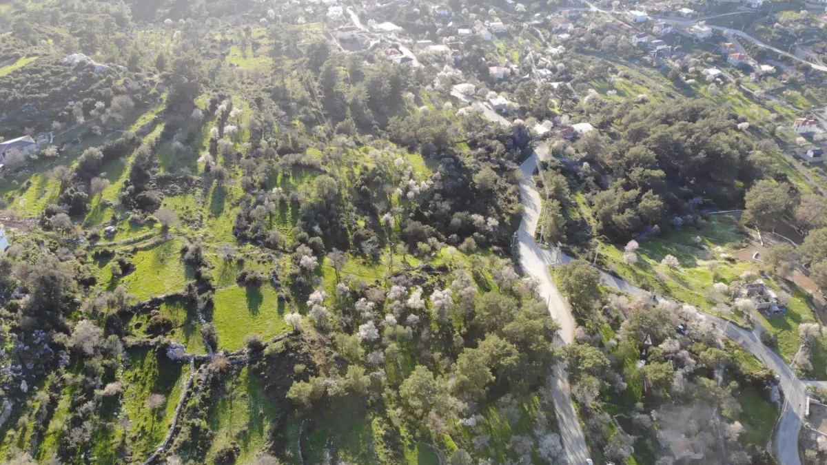 Muğla Marmaris Söğüt Köyünde Satılık Tarlalar